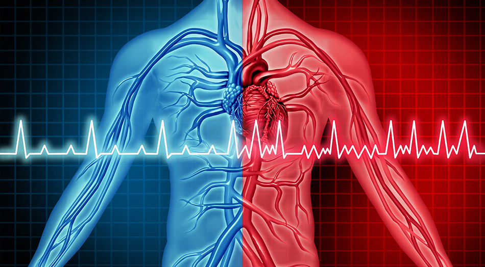 ekg-aachen-würselen